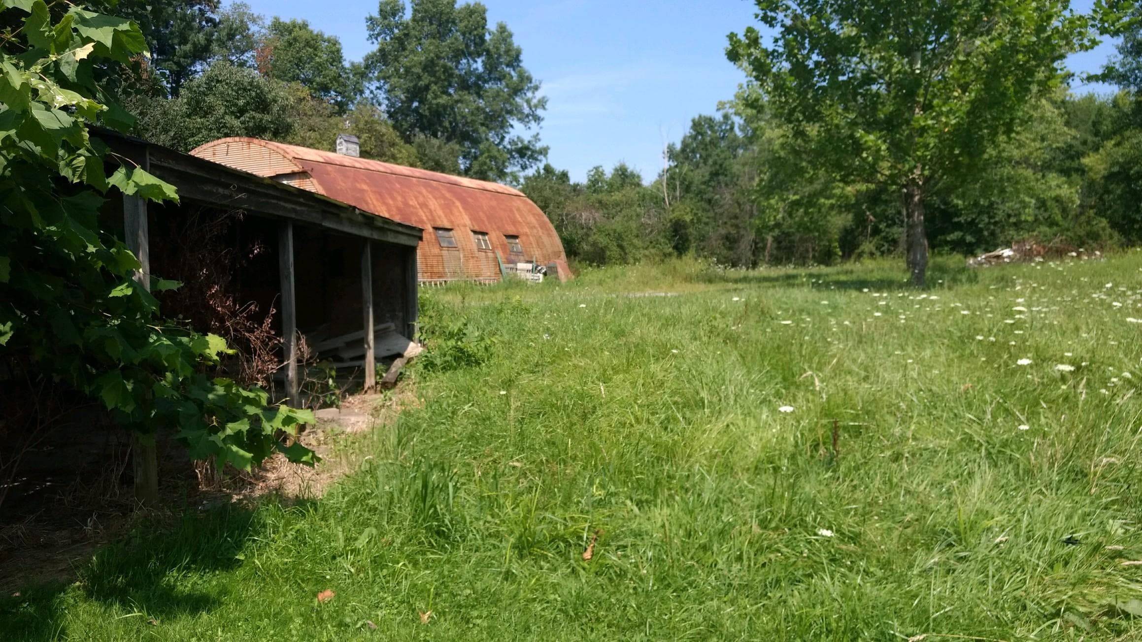 The far side of the barn and the shade tree Lori usually parked under